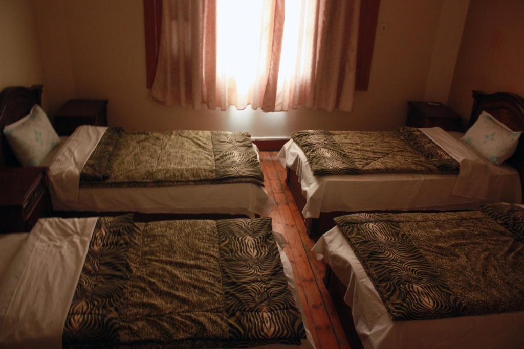 Hola Cairo Hostel Kültér fotó